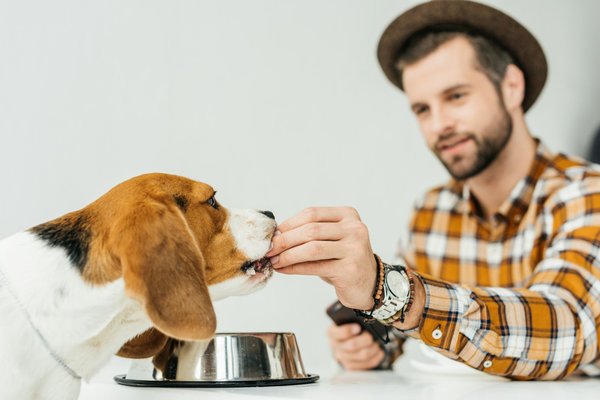 Croquettes hd optimum : l'alimentation parfaite pour votre chien